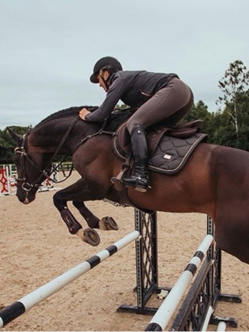 Equestrian Stockholm Quilted Saddle Pad in Dark Grey with Rose Gold Trim - Picture 3 of 14